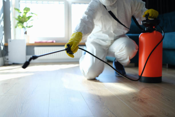 Best Best Pest Control Companies  in White Center, WA