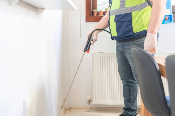 Best Pest Control Treatment  in White Center, WA