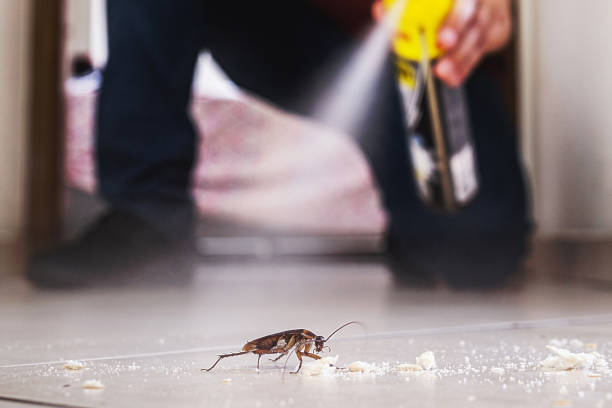 Best Pest Prevention Services  in White Center, WA