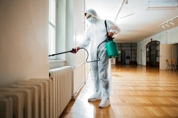 Wildlife Control Services in White Center, WA