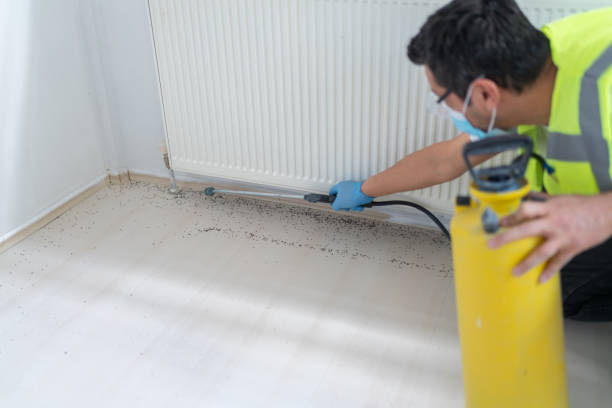 Pest Control for Restaurants in White Center, WA