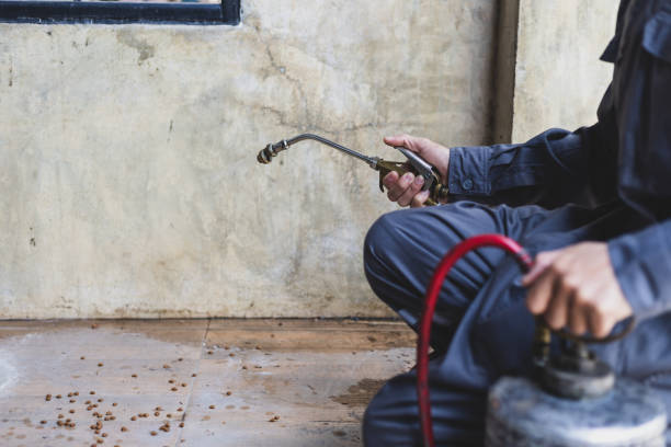 Best Pest Inspection Near Me  in White Center, WA